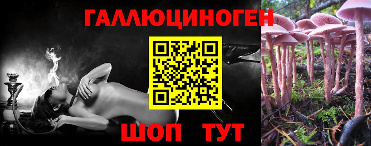 Галлюциногенные грибы Cubensis Армавир